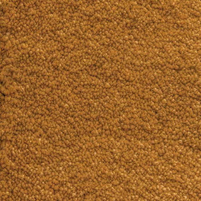Ochre-50